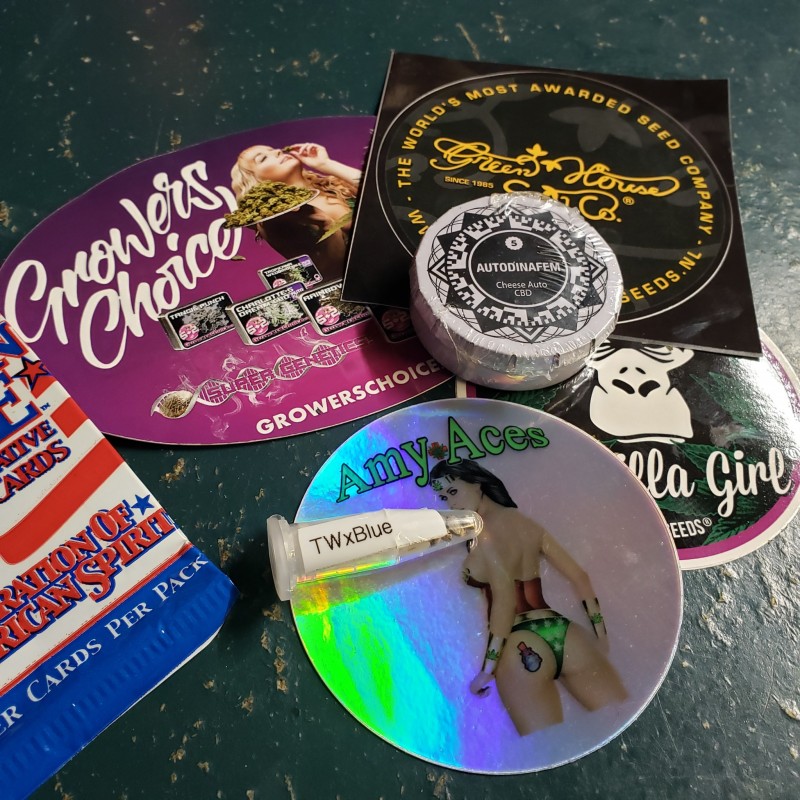 16505813845363452368917300540377