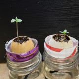 16505862297543069677885957334981