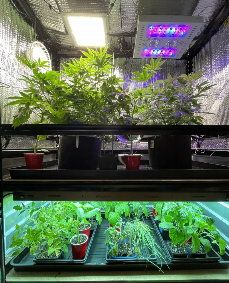 FFAA173D-9184-4B01-AA09-3FCC2BC7C9DD