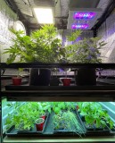 FFAA173D-9184-4B01-AA09-3FCC2BC7C9DD