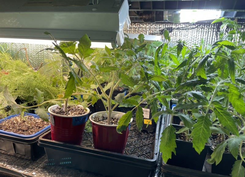 A02372A4-DD7E-47E5-A6E7-EE03D58BCCC8