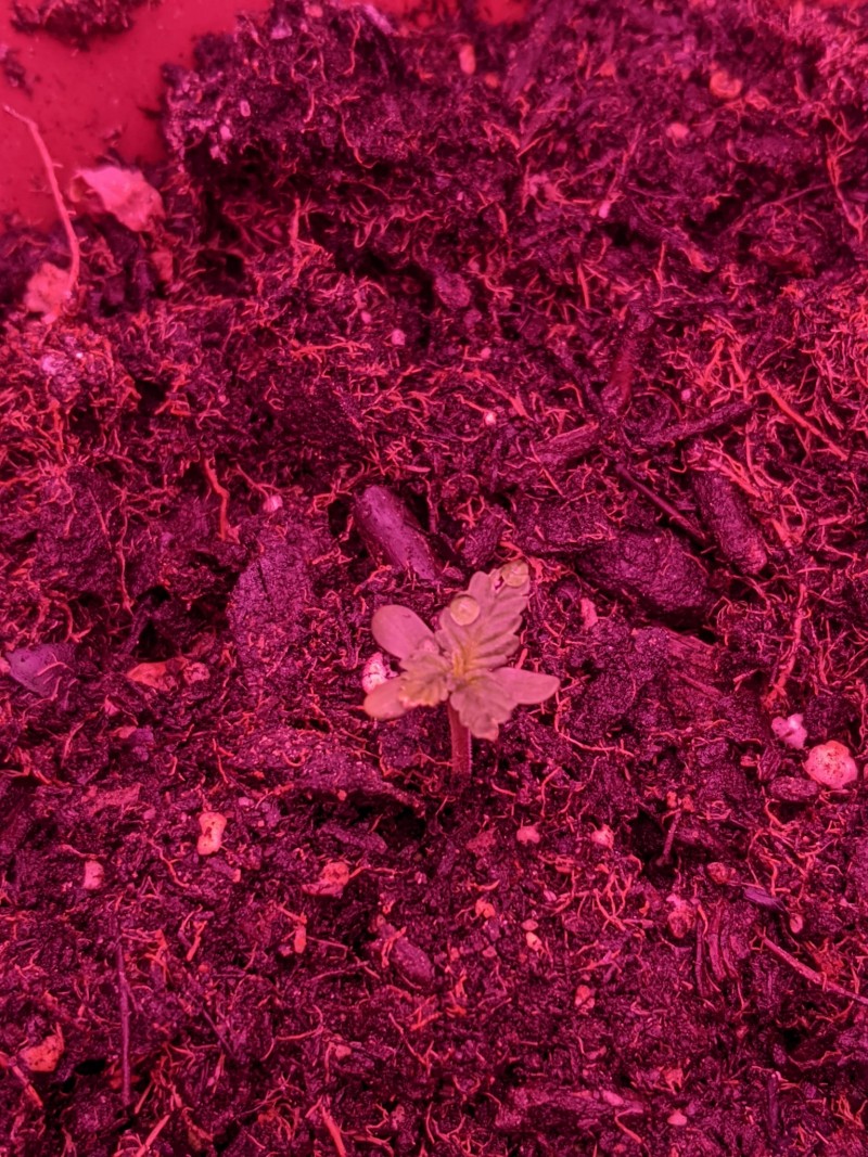 PXL_20220424_154004820