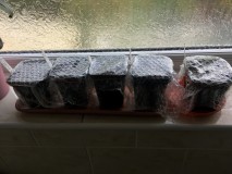 B x PC testers for conscious