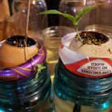 16509961829688982217751361684491