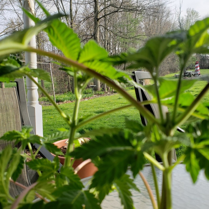 1651184701330959148604981110719