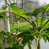 1651184701330959148604981110719