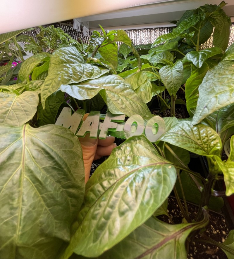 1724FC1F-296E-4ED7-9B1D-F1437580FA90