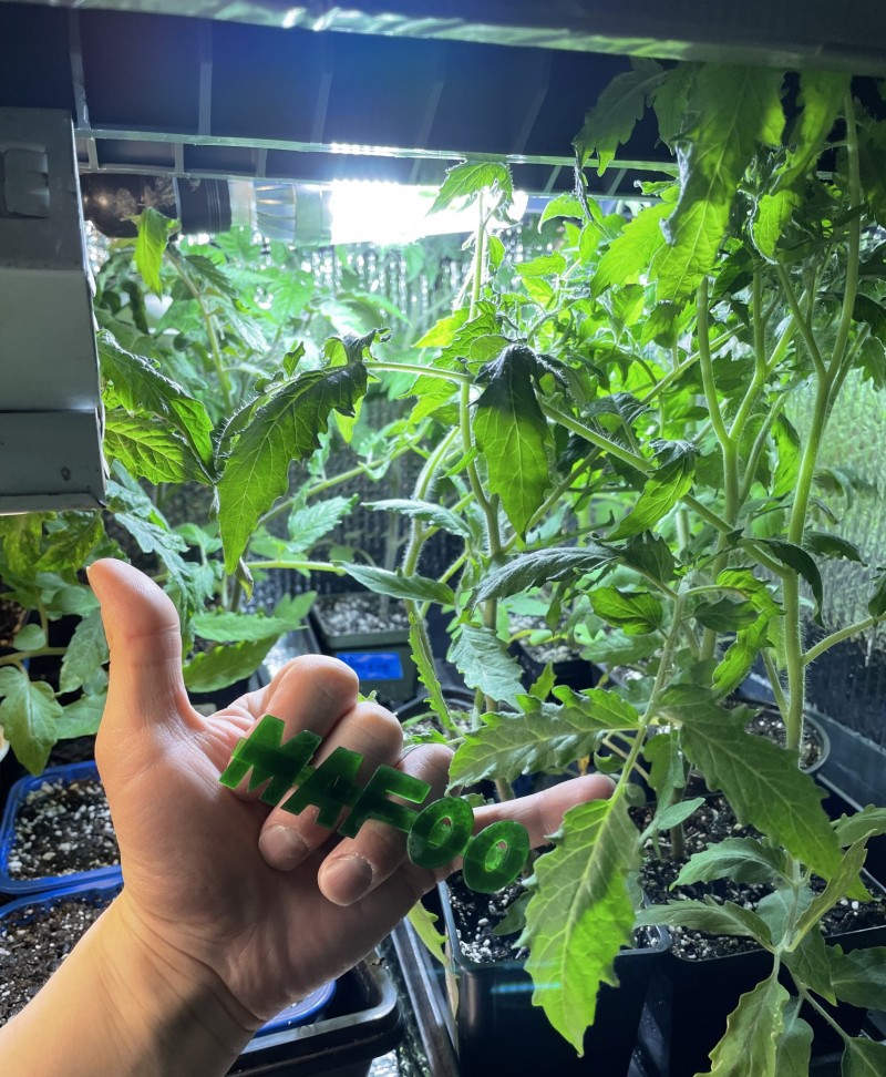 7094F622-AA59-4596-9DF5-D639C2F44F89