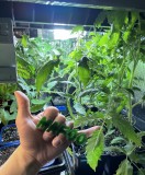 7094F622-AA59-4596-9DF5-D639C2F44F89