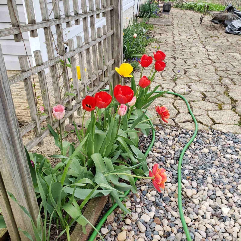 16513507049468167559448952200522