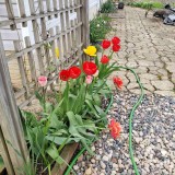 16513507049468167559448952200522