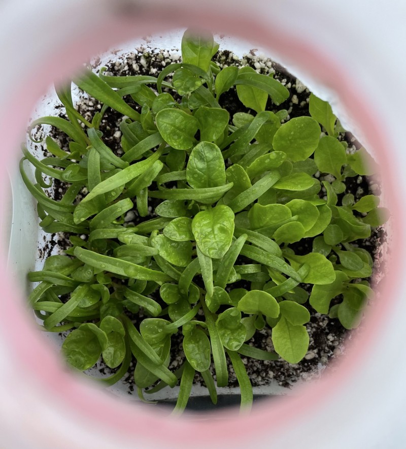 92CC9C42-7F7E-4B96-85B2-7A9882E782D3