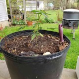 16515989248916593983026780369566