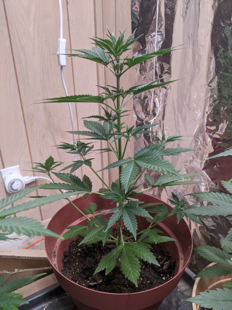 PXL_20220503_184336677