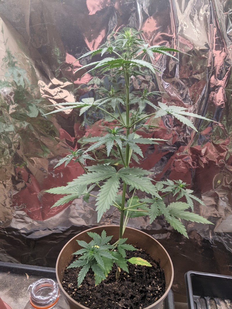 PXL_20220503_184353552