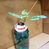 16516251961955939984394713277236