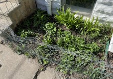 201AC3FF-BD91-4E42-ABA9-1B1D7ED38B4D