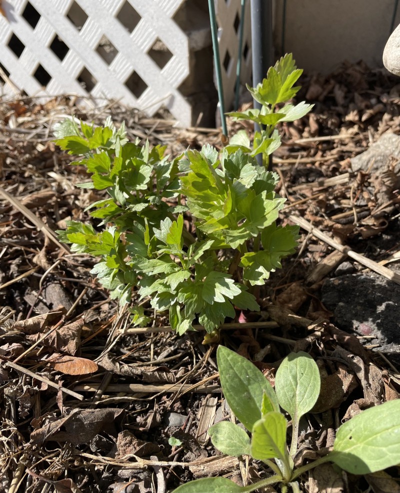 44BB310C-7F0F-4937-B571-558EF3DF1E7C