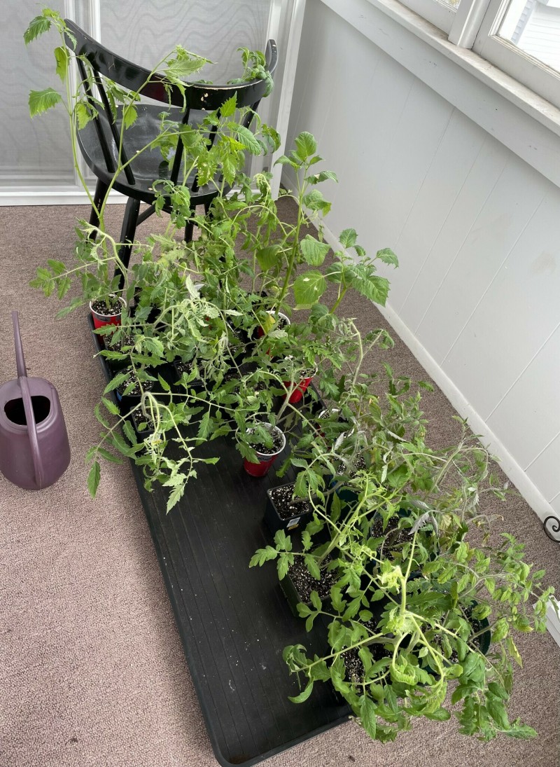 9BAEB4D0-2814-412E-B1D0-2306BE952CBC