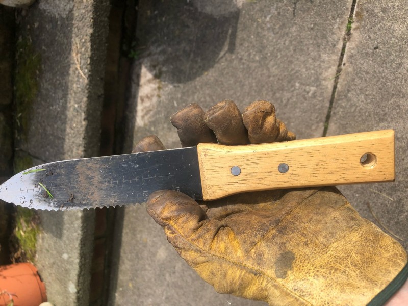 E282BA3F-D03A-4C48-B377-691A419EABF7