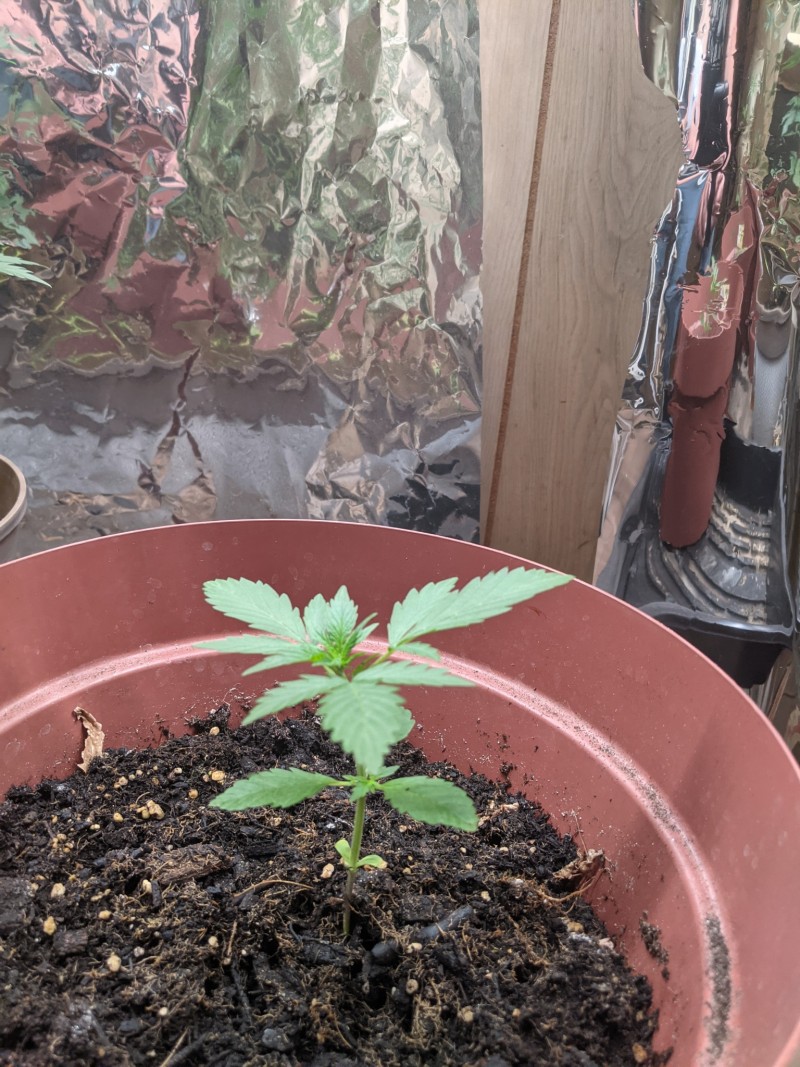 PXL_20220503_184404321