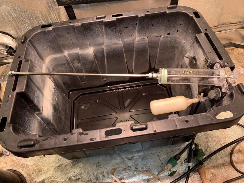 4300B77C-386F-4541-802E-725EF3A5A975