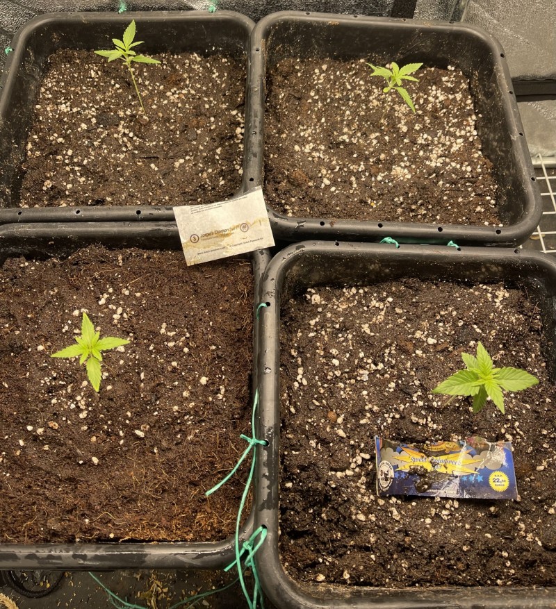 8C90BFE4-793E-4694-A6E9-8B0BF867A449