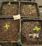 8C90BFE4-793E-4694-A6E9-8B0BF867A449