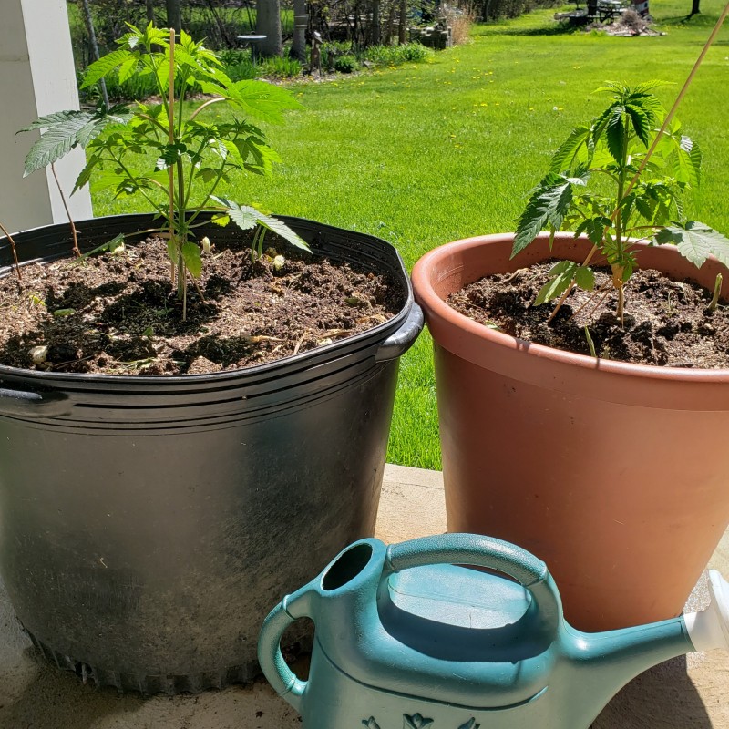 16521242092465110191420237375689