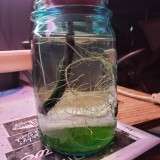 16521335449843715905199720404327