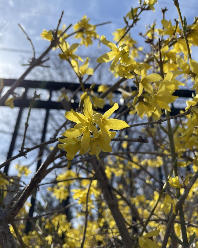 B02F11AE-5AF8-4553-9858-D8C215803DCF