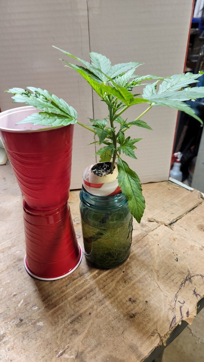 1652746093418827020665066096703