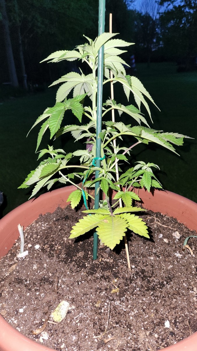 16528356165281094867838653957952