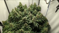 IMG_20220518_124602_453