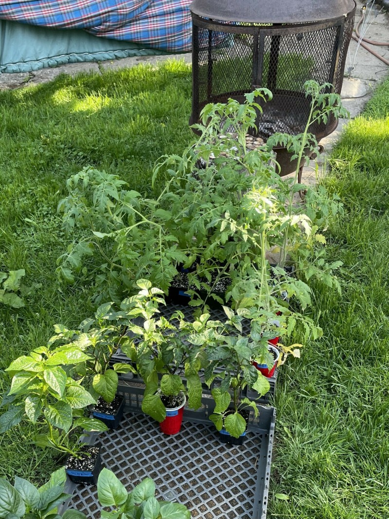 4C1451A6-E0B8-47DC-A711-299AC0E13059