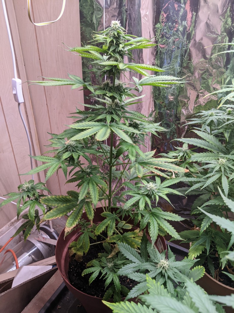 PXL_20220522_222815118