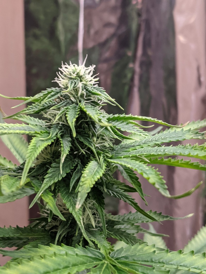 PXL_20220522_222820063