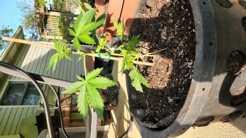 16534331160613854937030129700870