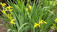 1653503941150894634019369019307