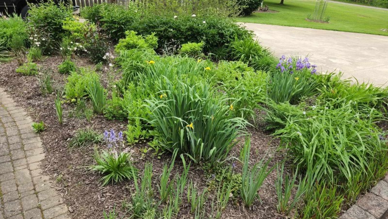 16535089533084617482755019012946