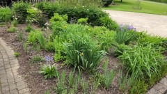 16535089533084617482755019012946