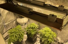 DAD1C3EF-AD21-46B0-B350-CBC8A336AAEF