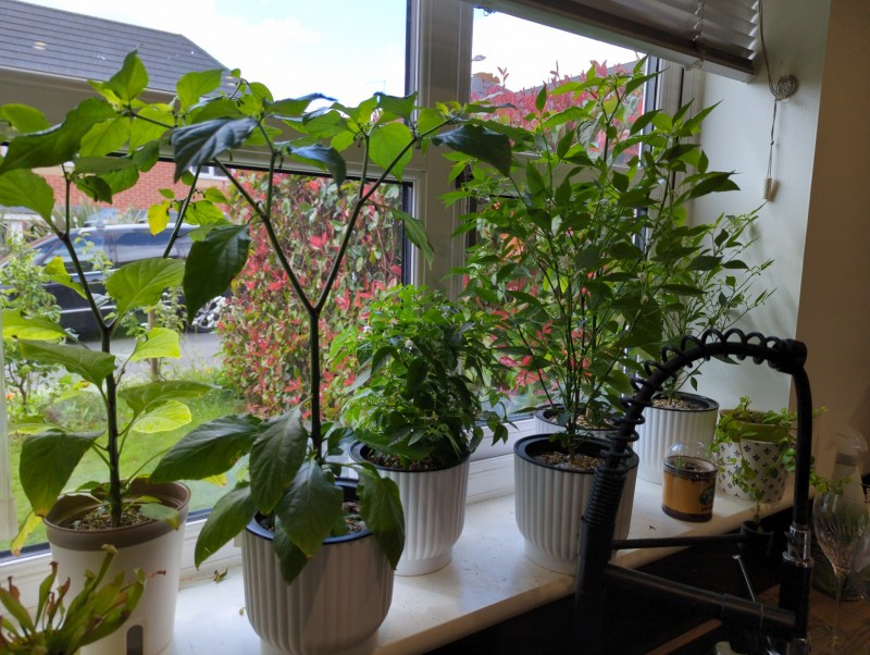 16537345573833452453441435314415