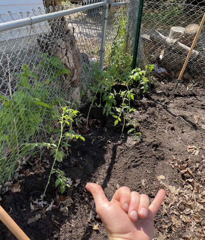 B74FF1FD-3F81-4B8E-8D06-98183207BA27