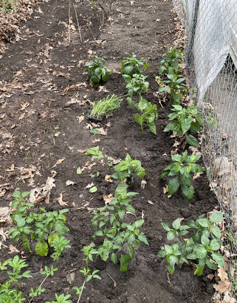 C1B9DCC1-2EAE-4DFC-82DB-7652ECD2569B