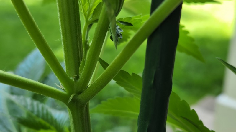 16538395744366727863025466968102