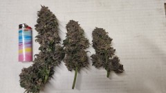 16538586053896213250568143033238