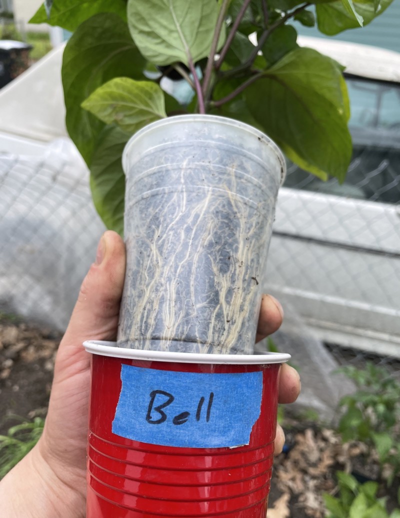 AA88BB77-E4A7-45DC-ADB7-DC510E82941B