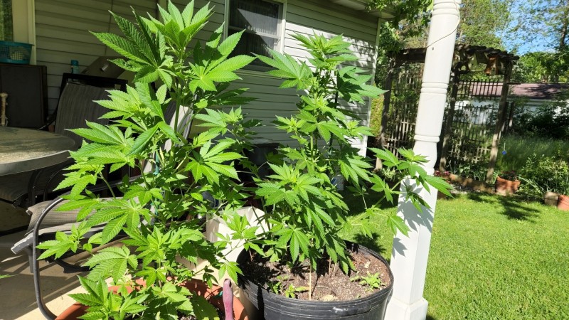 1654206845696181037981900345317