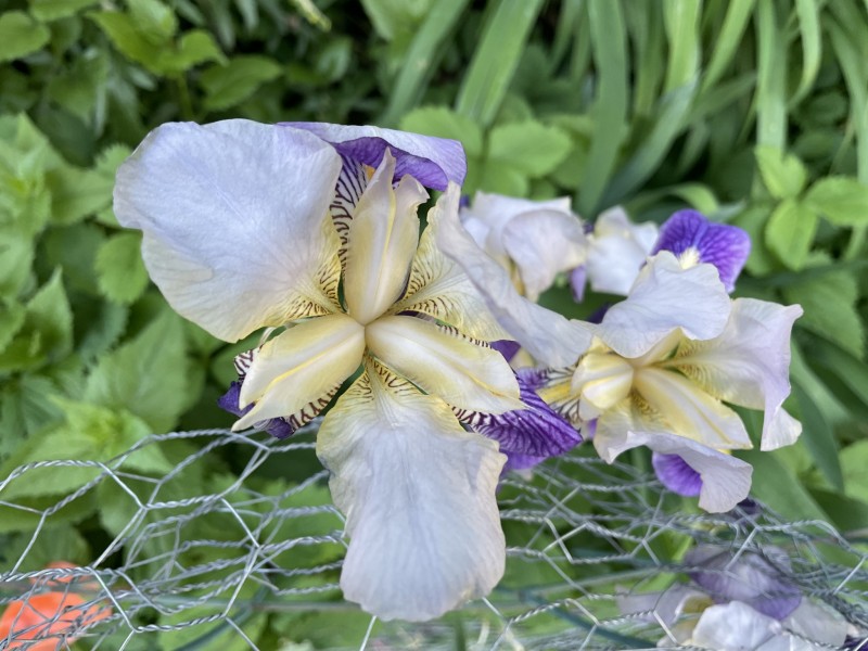 837A900F-3216-484F-94EE-78368A44BDE3